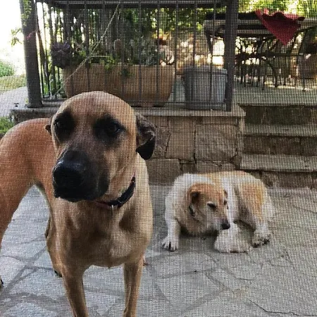 La Casa Di Sissi Отель типа 