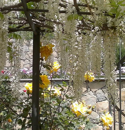 Bed & Breakfast La Casa Di Sissi San Remo